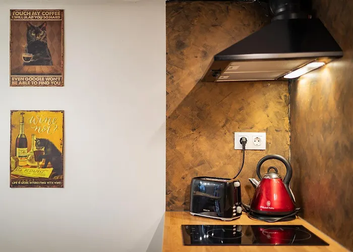 Rumbastic New - Location With Ac Apartment *